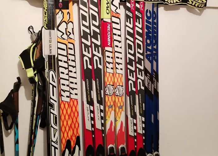 Hirvikoto 公寓 索特卡莫